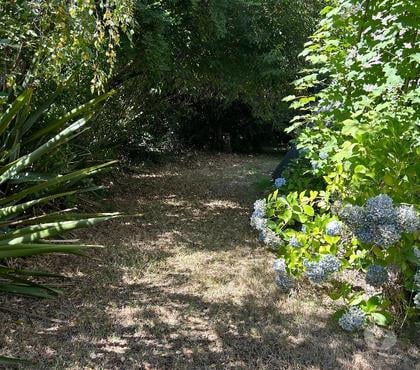 Casas en venta Villarrica Cautín - Fotos de Vendo propiedad en el centro de Lican Ray