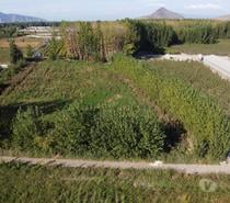 Se arrienda terreno agrícola en Coinco 1.1Ha