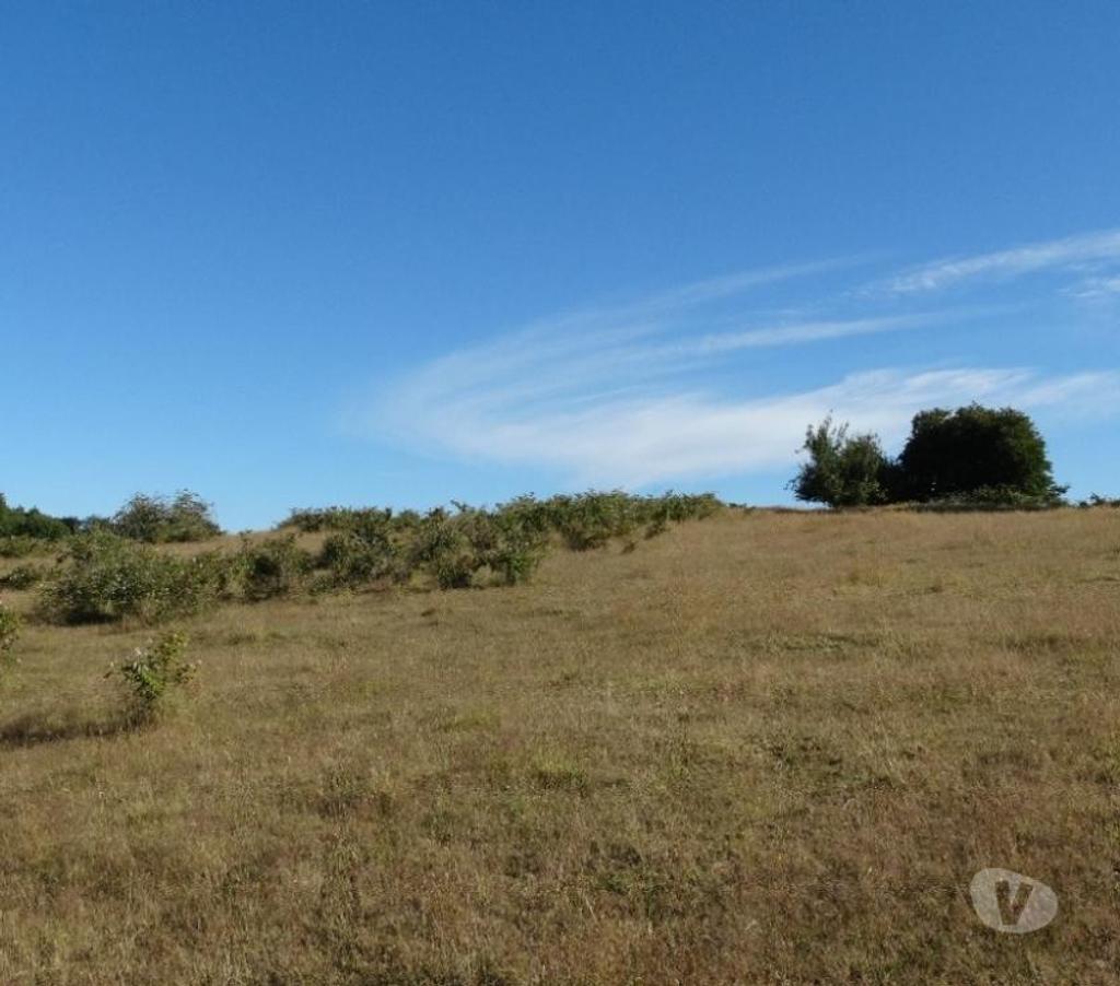 Parcelas en Venta Llanquihue Fresia - Fotos de VENTA DE 17 HECTÁREAS EN COMUNA DE FRESIA.