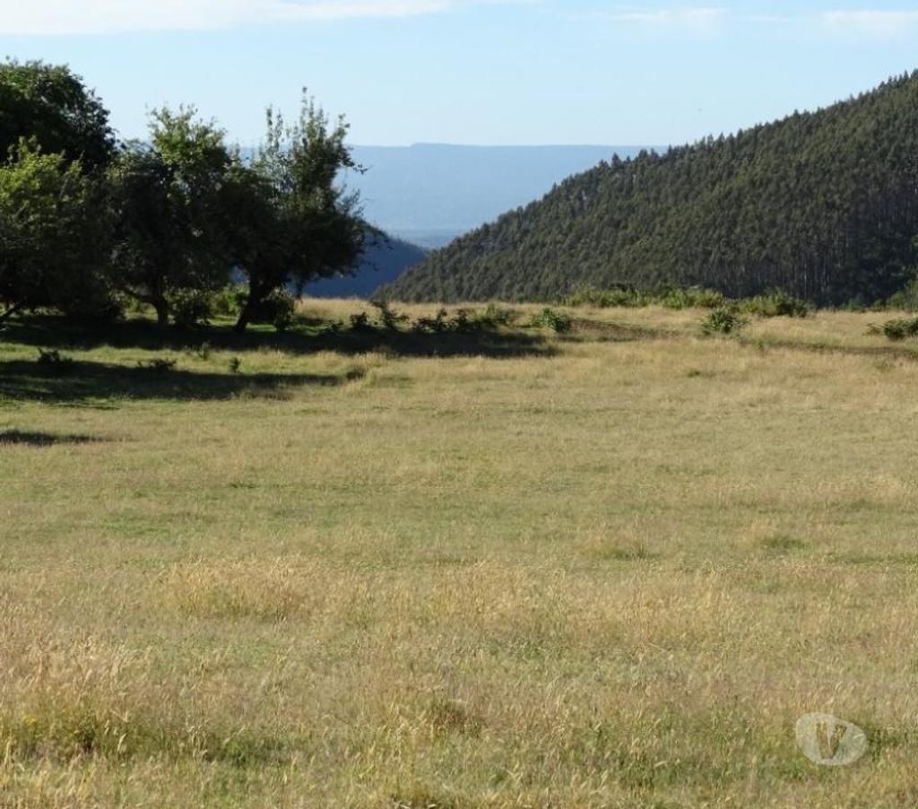 Parcelas en Venta Llanquihue Fresia - Fotos de VENTA DE 17 HECTÁREAS EN COMUNA DE FRESIA.