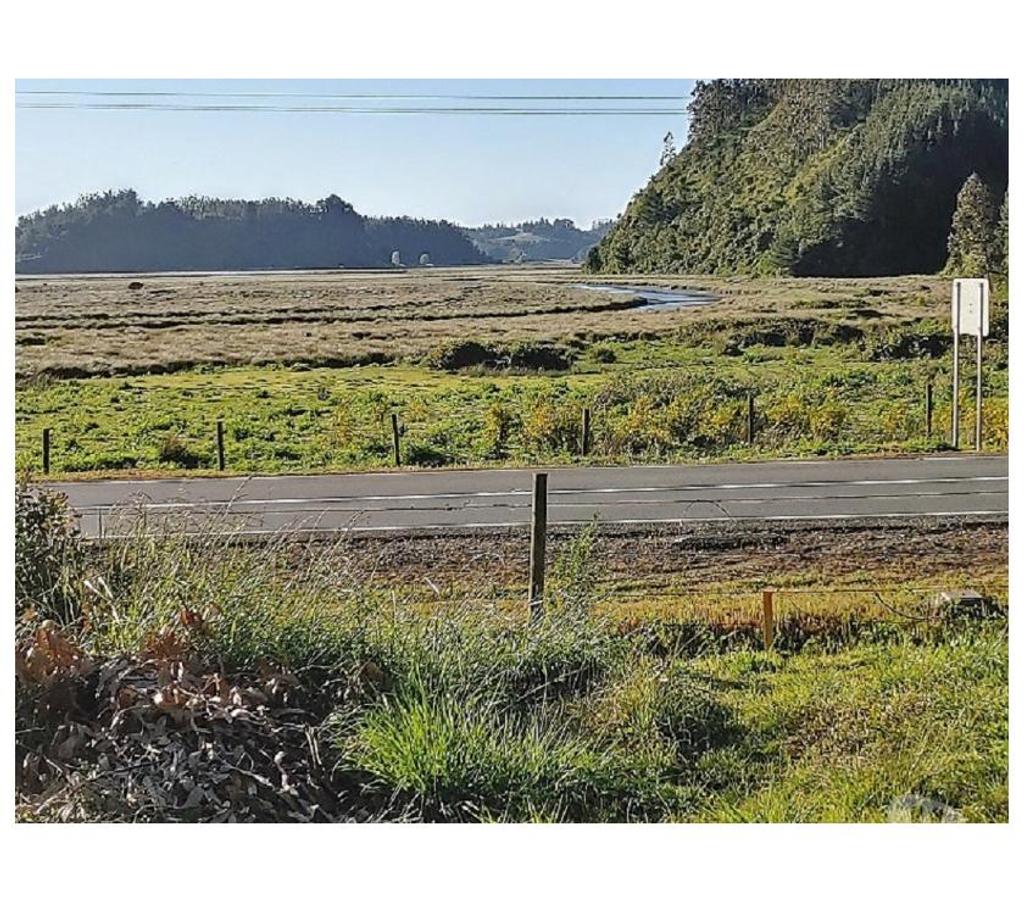 Parcelas en Venta Arauco Arauco - Fotos de PARCELAS LAS PEÑAS DEL ESTERO RAQUI VENTA