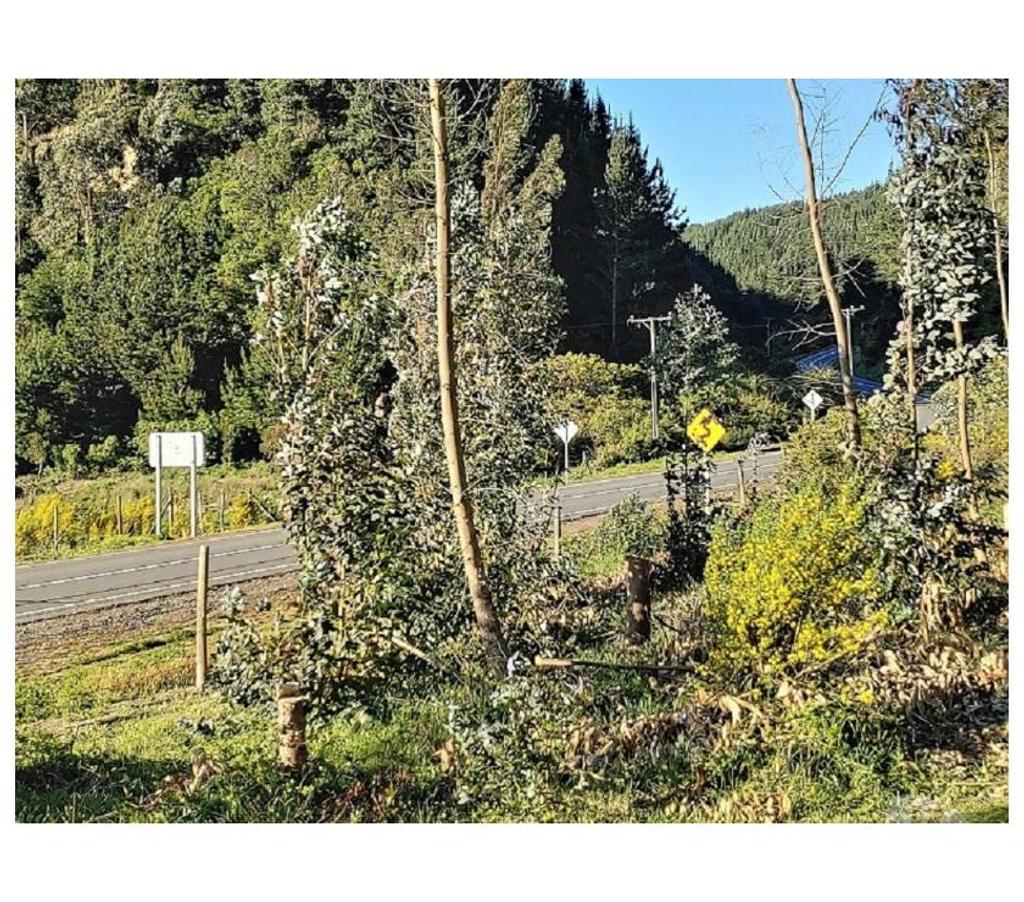 Parcelas en Venta Arauco Arauco - Fotos de PARCELAS LAS PEÑAS DEL ESTERO RAQUI VENTA