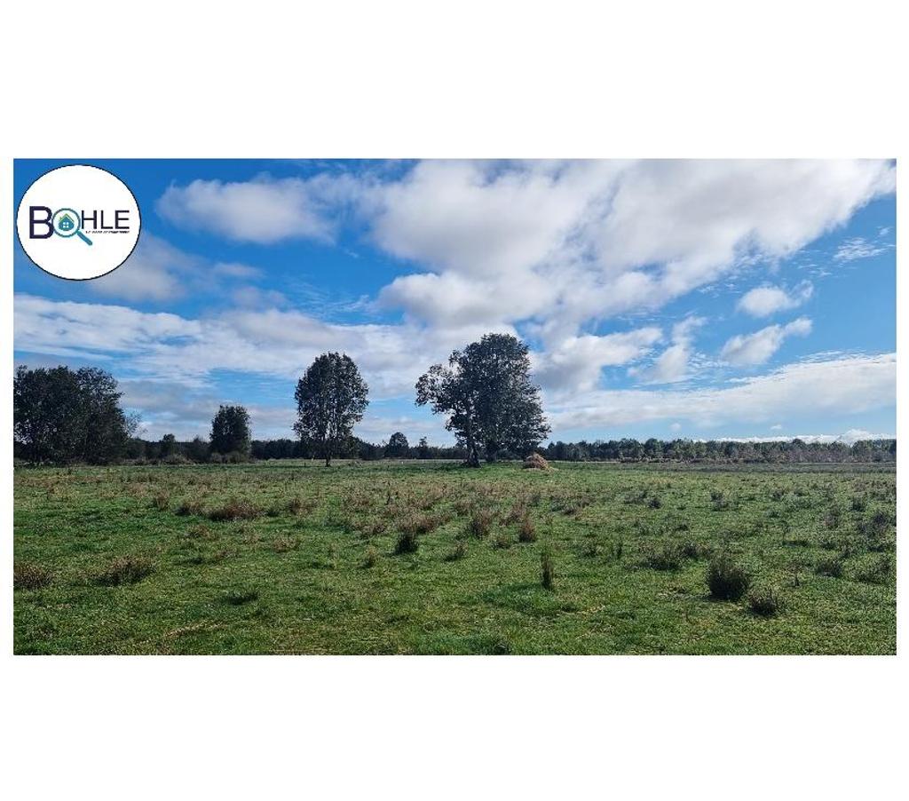 Parcelas en Venta Llanquihue Los Muermos - Fotos de VENDO PARCELAS EN LOS MUERMOS