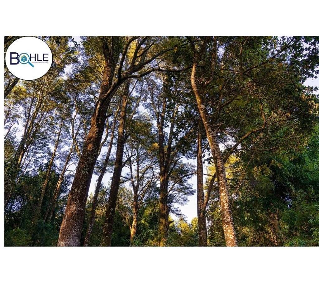 Parcelas en Venta Llanquihue Puerto Montt - Fotos de VENDO – Parcelas Camino a Aeropuerto el Tepual