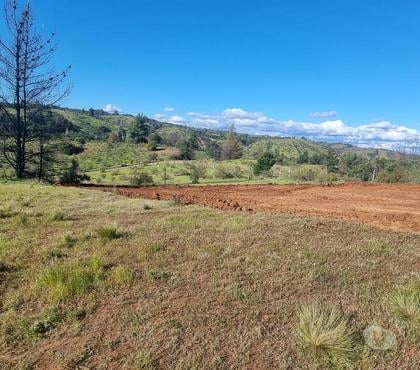 Terrenos en Venta Yumbel Bío-Bío - Fotos de Vendo hermosa parcela