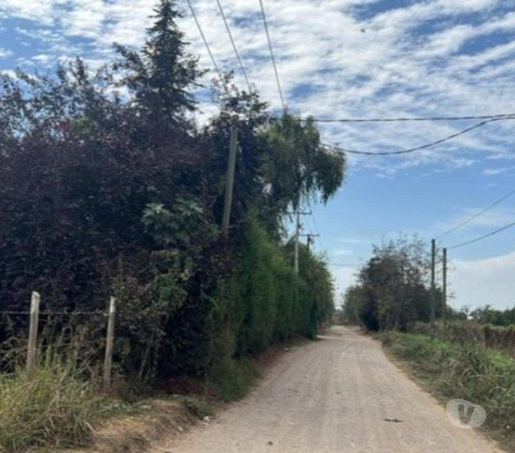 Parcelas en Venta Maipo Paine - Fotos de Venta de Terrenos en Pintué – Aculeo