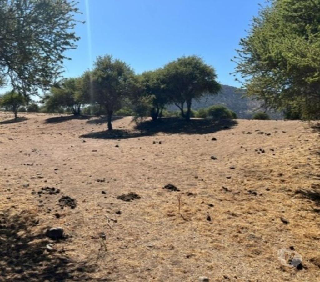 Parcelas en Venta Maipo Paine - Fotos de Venta de Terrenos en Pintué – Aculeo