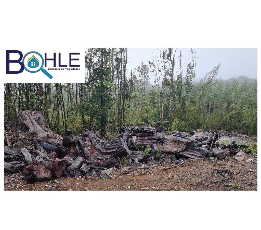 Parcelas en Venta Llanquihue Puerto Varas - Fotos de VENDO – Parcela 5000m2 en Colonia Rio Sur Pto. Varas