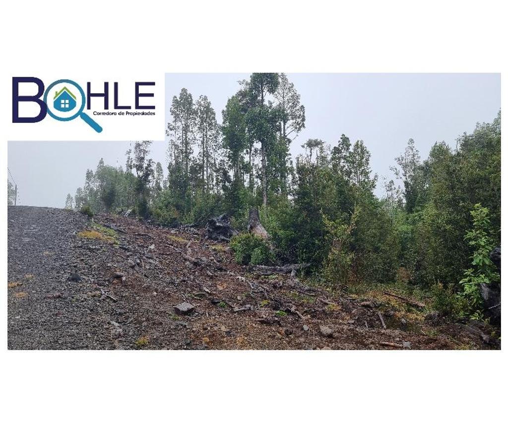 Parcelas en Venta Llanquihue Puerto Varas - Fotos de VENDO – Parcela 5000m2 en Colonia Rio Sur Pto. Varas
