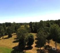 Fotos de PARCELAS MUY BIEN UBICADAS Y EXCELENTE PRECIO EN FRUTILLAR.