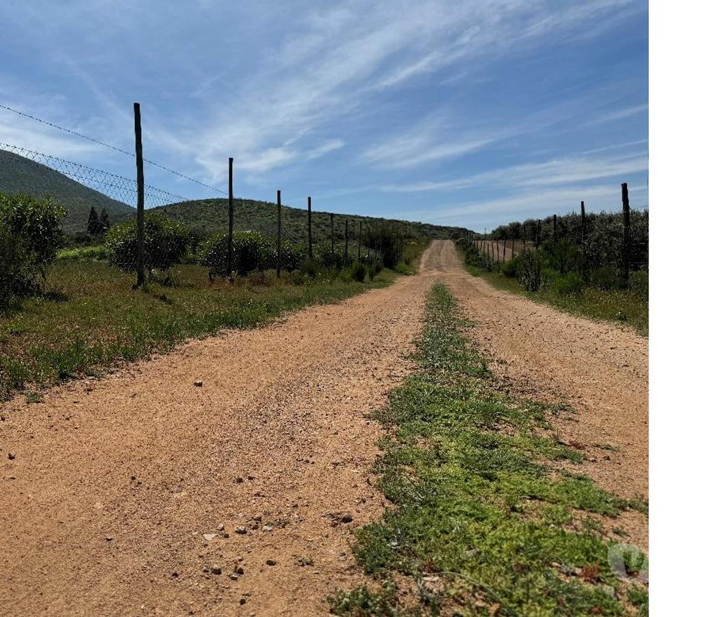 Parcelas en Venta Elqui Conquimbo - Fotos de Parcelas individuales o en conjunto dos o tres ROL Propio.