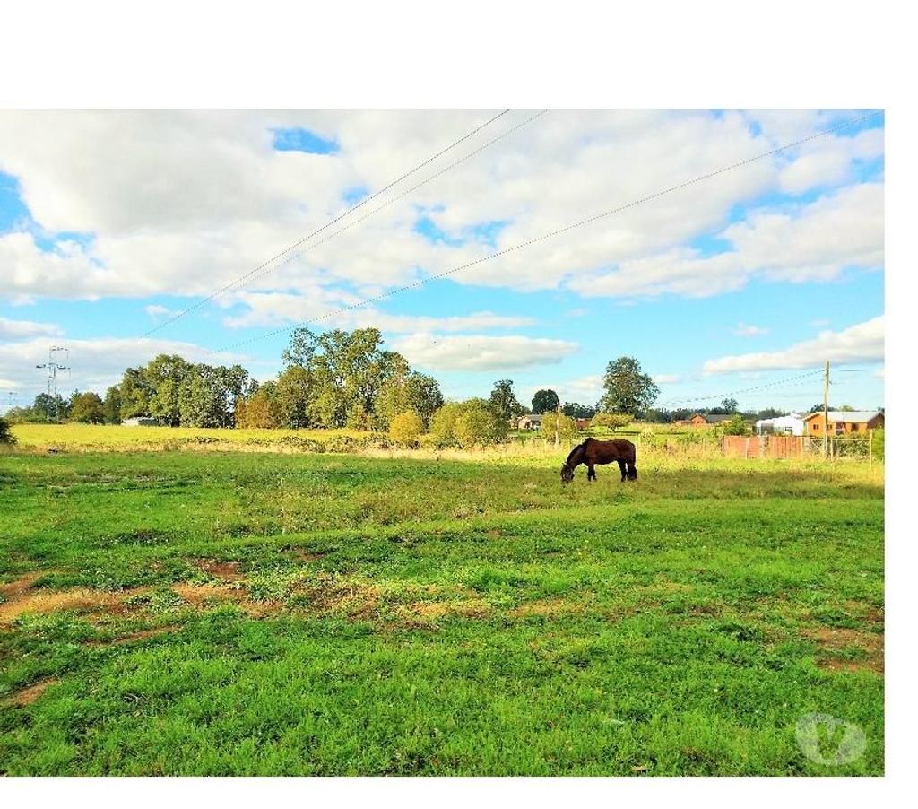 Parcelas en Venta Osorno Osorno - Fotos de VENDO PARCELA CON 2 CASAS