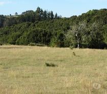 Fotos de VENTA DE TERRENO EN FRESIA.