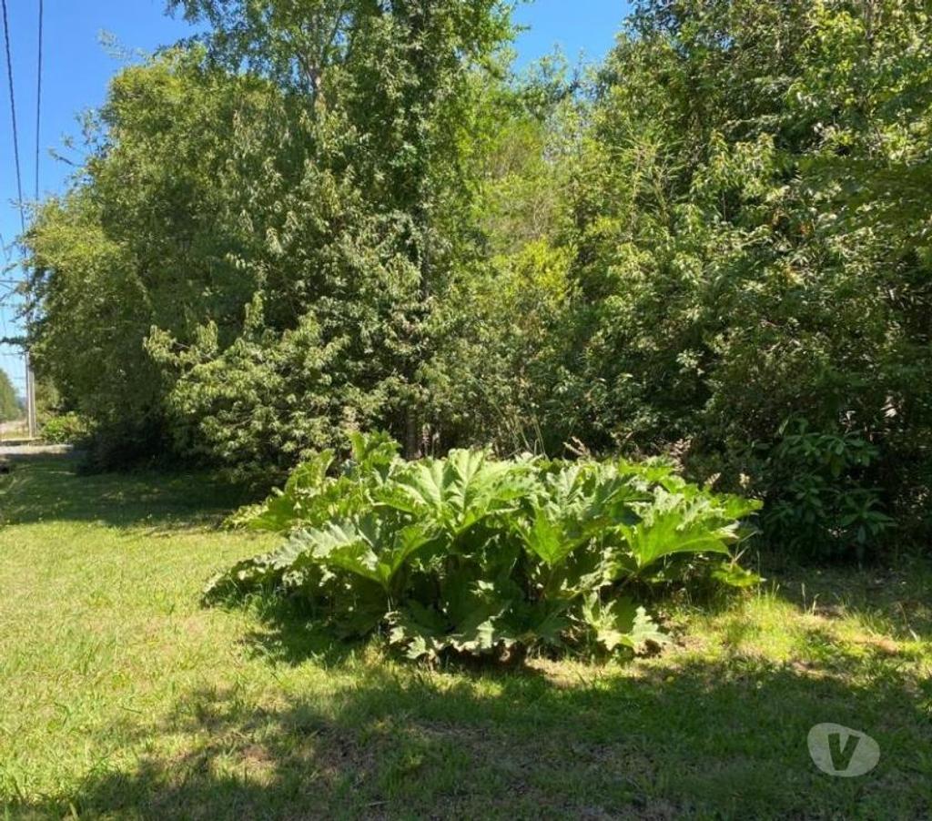 Bienes Raices Cautín Villarrica - Fotos de Casa amplia en parcela en prestigioso Condominio