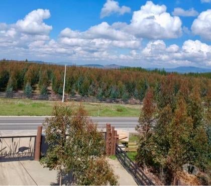 Venta de Campos Cauquenes Cauquenes - Fotos de PARCELA DE AGRADO ALTO LAS GARZAS