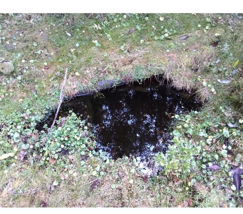 Venta de Haciendas Chiloé Quellón - Fotos de Vende 9,13hcts. vista al mar, bosque, camino semiplano