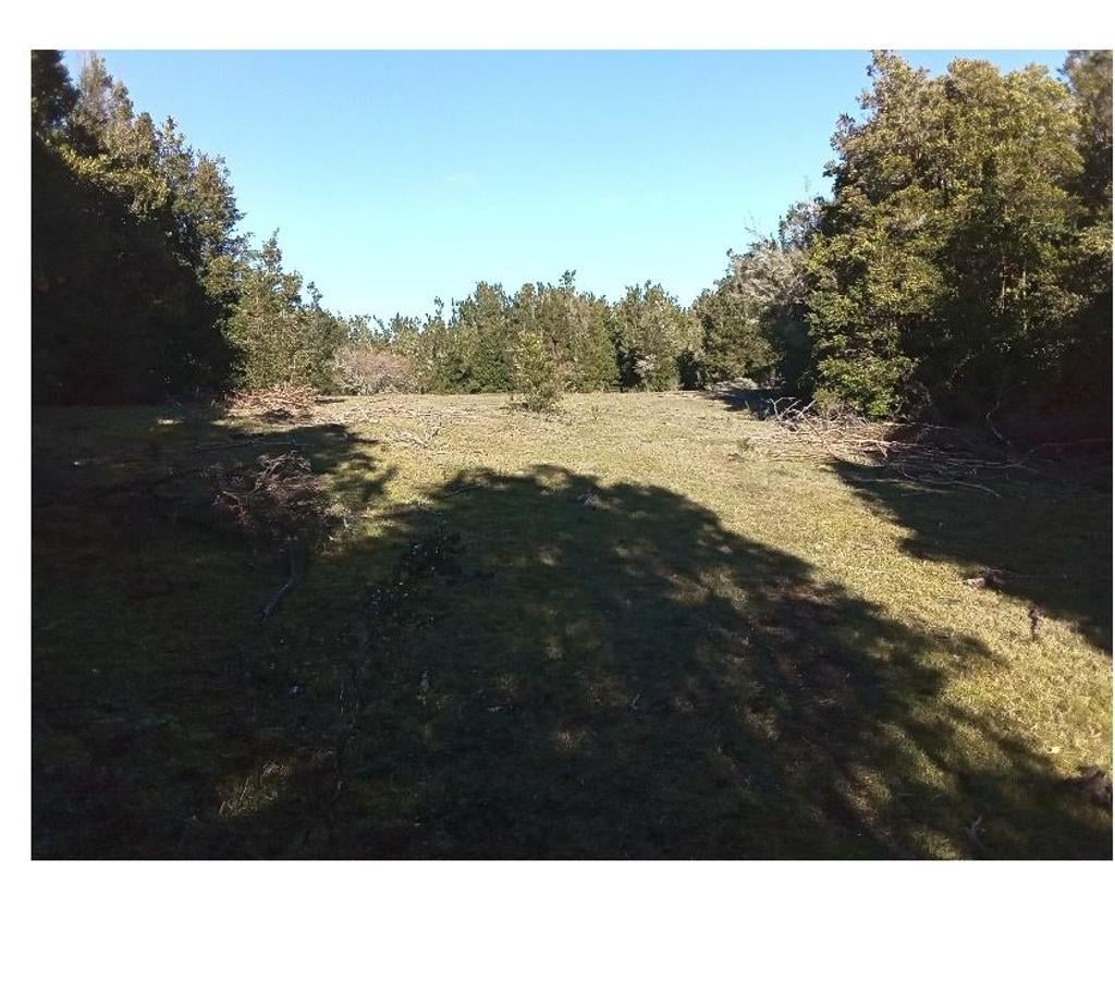 Venta de Haciendas Chiloé Quellón - Fotos de Vende 9,13hcts. vista al mar, bosque, camino semiplano