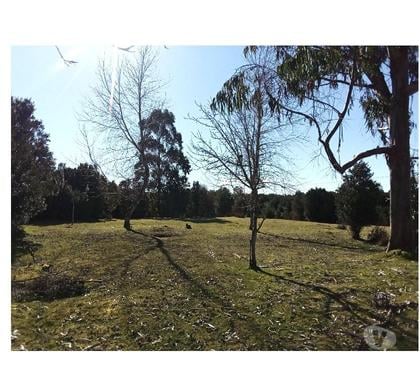 Fundos en Venta Quellón Chiloé - Fotos de Vende 9,13hcts. vista al mar, bosque, camino semiplano