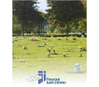 Terrenos Concepción Concepción - Fotos de Vendo Fracción Cementerio Parque San Pedro