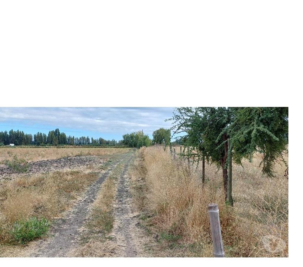 Parcelas en Venta Colchagua Palmilla - Fotos de Vendo en El Huique, comuna Palmilla parcelas de 5.000m2