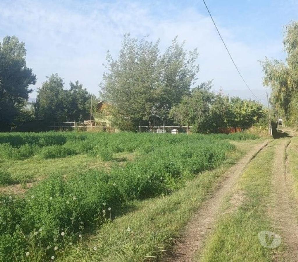 Parcelas en Venta Maipo Paine - Fotos de Paine, Caletera Poniente, Agroindustria ISAM 13