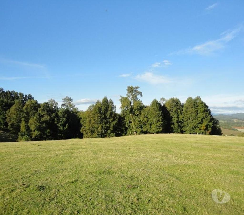 Venta de Haciendas Valdivia Los Lagos - Fotos de Precioso Campo de 54 hás en comuna Los Lagos-Valdivia