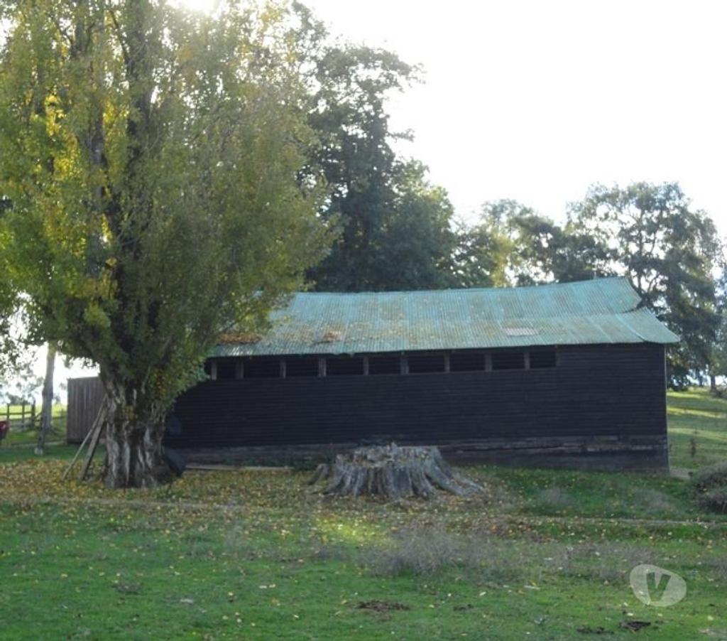 Venta de Haciendas Valdivia Los Lagos - Fotos de Precioso Campo de 54 hás en comuna Los Lagos-Valdivia