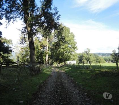 Fundos en Venta Los Lagos Valdivia - Fotos de Precioso Campo de 54 hás en comuna Los Lagos-Valdivia