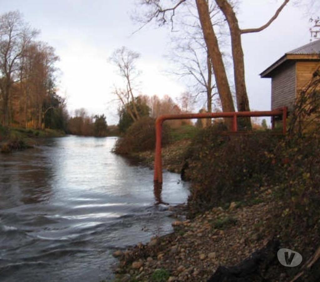 Venta de Haciendas Valdivia Lanco - Fotos de Campo de 592 hás en Lanco-Valdivia Apto