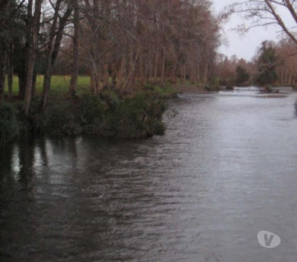Venta de Haciendas Valdivia Lanco - Fotos de Campo de 592 hás en Lanco-Valdivia Apto