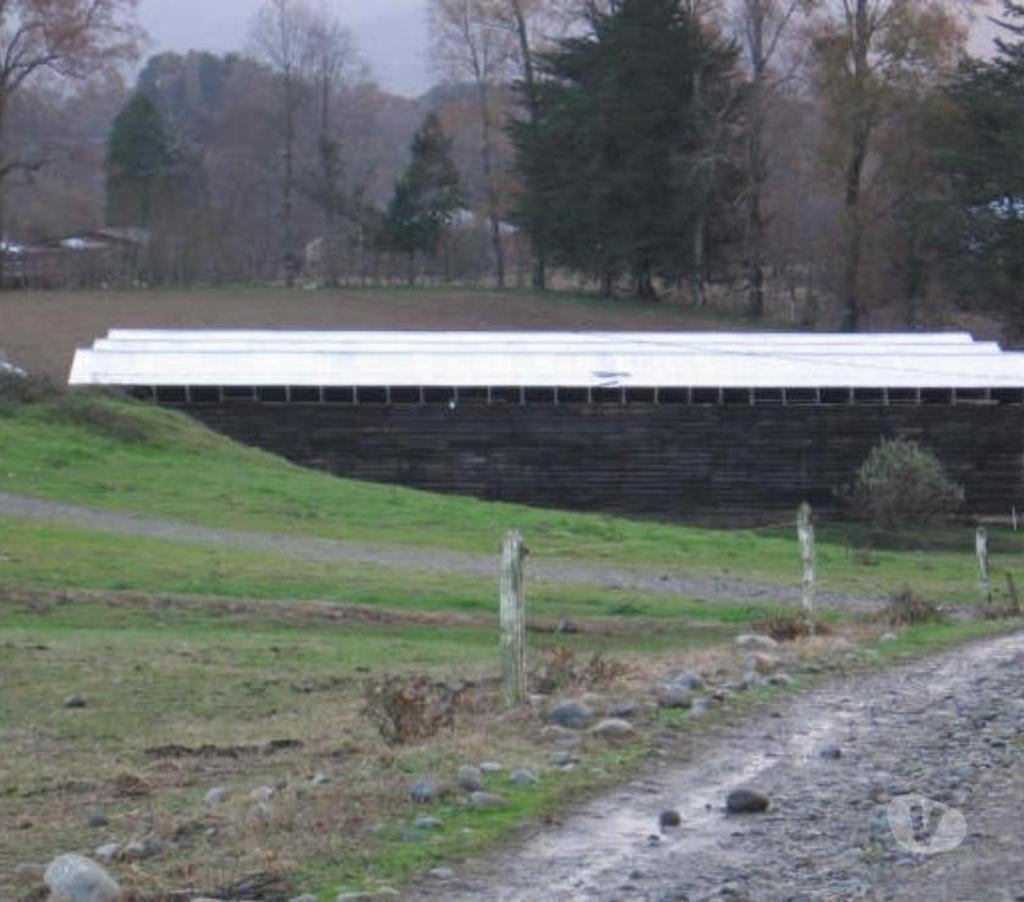 Venta de Haciendas Valdivia Lanco - Fotos de Campo de 592 hás en Lanco-Valdivia Apto