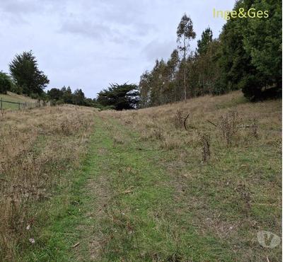 Campos-Fundos-Haciendas Carahue Cautín - Fotos de GRAN OPORTUNIDAD, PROPIEDAD DE 4,32 HECTÁREAS EN CARAHUE