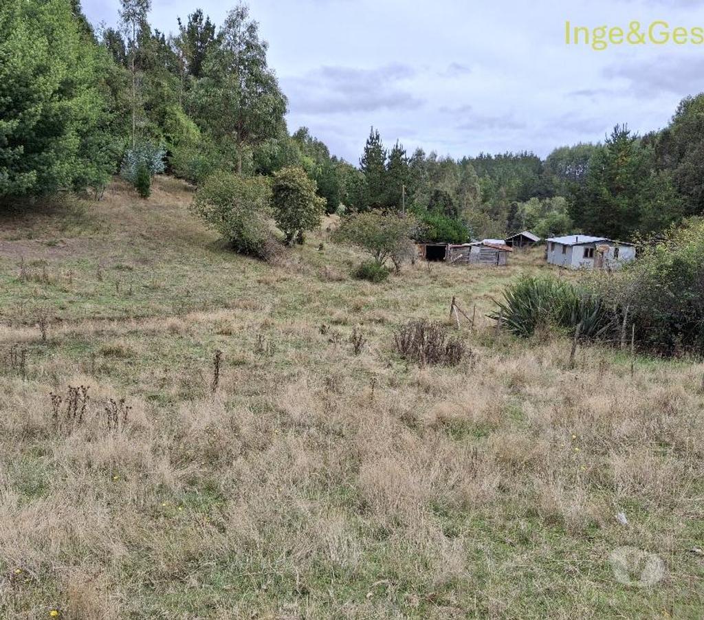 Venta de Haciendas Cautín Carahue - Fotos de GRAN OPORTUNIDAD, PROPIEDAD DE 4,32 HECTÁREAS EN CARAHUE