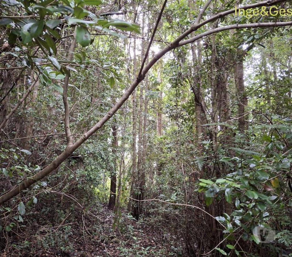 Venta de Haciendas Cautín Carahue - Fotos de GRAN OPORTUNIDAD, PROPIEDAD DE 4,32 HECTÁREAS EN CARAHUE