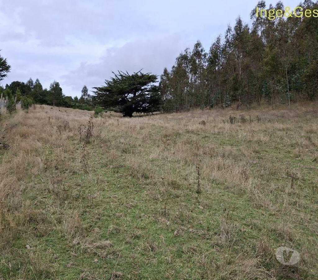 Venta de Haciendas Cautín Carahue - Fotos de GRAN OPORTUNIDAD, PROPIEDAD DE 4,32 HECTÁREAS EN CARAHUE