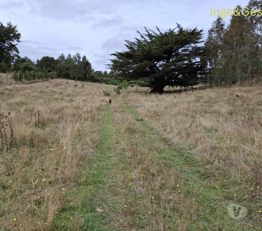 Venta de Haciendas Cautín Carahue - Fotos de GRAN OPORTUNIDAD, PROPIEDAD DE 4,32 HECTÁREAS EN CARAHUE