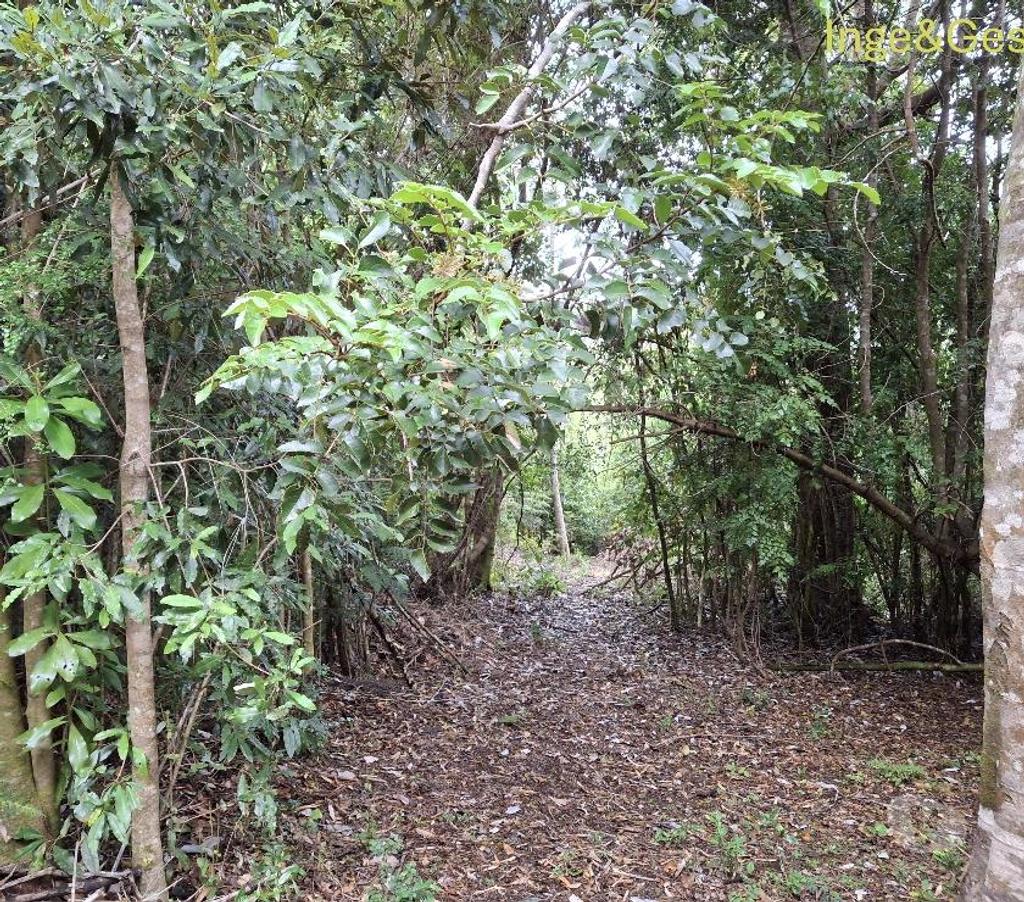 Venta de Haciendas Cautín Carahue - Fotos de GRAN OPORTUNIDAD, PROPIEDAD DE 4,32 HECTÁREAS EN CARAHUE