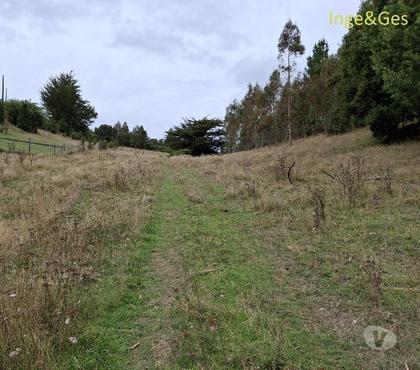 Venta de Haciendas Carahue Cautín - Fotos de GRAN OPORTUNIDAD, PROPIEDAD DE 4,32 HECTÁREAS EN CARAHUE