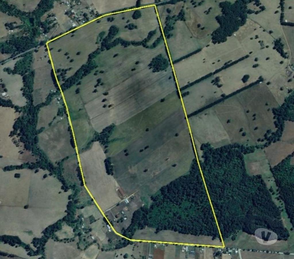 Venta de Haciendas Valdivia Paillaco - Fotos de Precioso Campo Ganadero de 127 hás en Paillaco-Valdivia