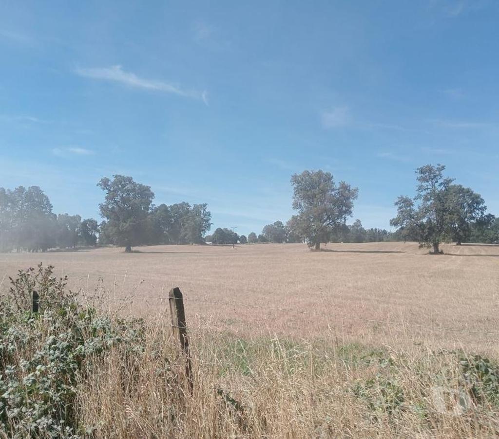 Venta de Haciendas Valdivia Paillaco - Fotos de Precioso Campo Ganadero de 127 hás en Paillaco-Valdivia
