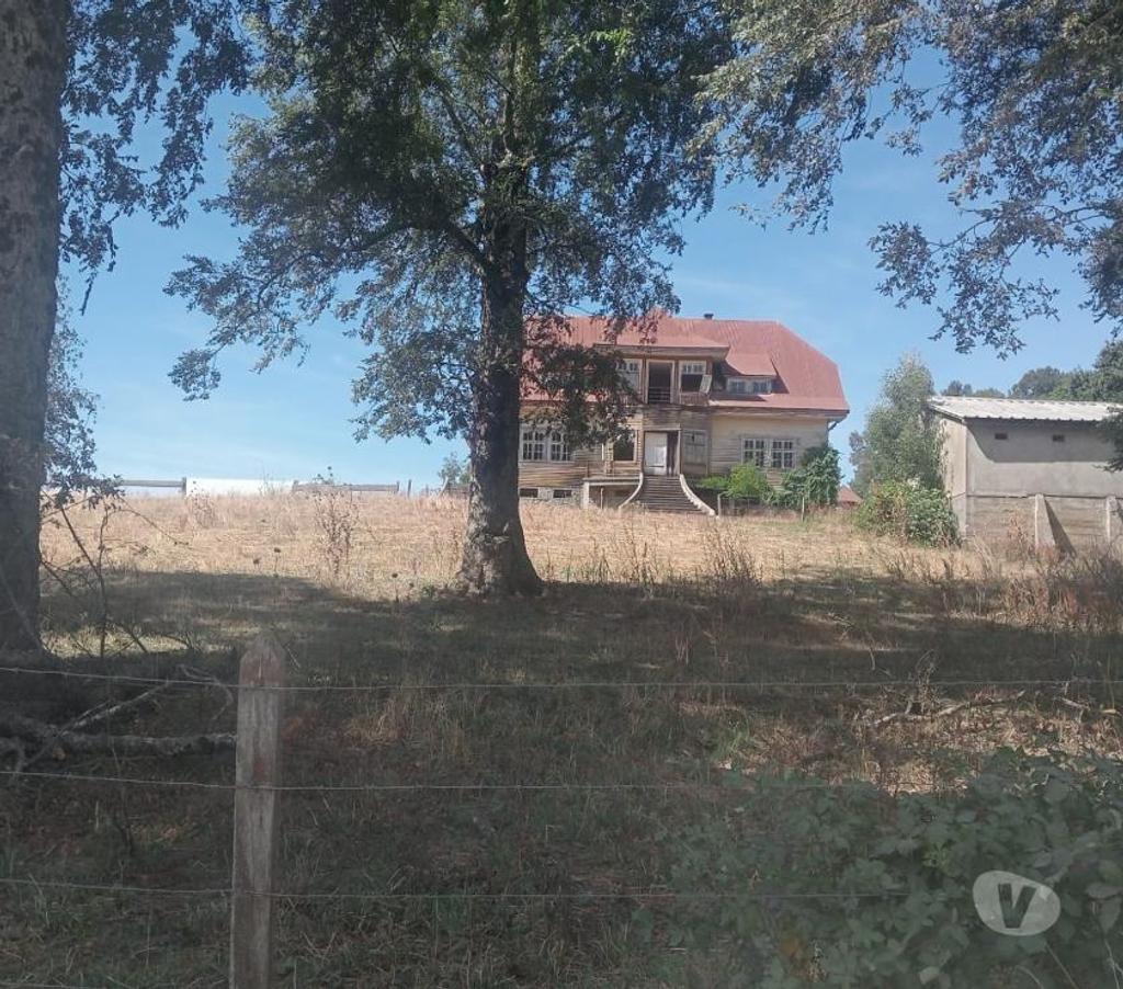 Venta de Haciendas Valdivia Paillaco - Fotos de Precioso Campo Ganadero de 127 hás en Paillaco-Valdivia