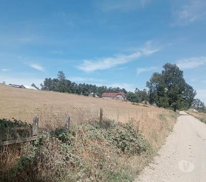 Campos en Venta Paillaco Valdivia - Fotos de Precioso Campo Ganadero de 127 hás en Paillaco-Valdivia