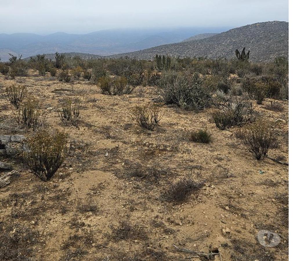 Venta de Haciendas Elqui Conquimbo - Fotos de Macro Lote Apatitas Coquimbo Oferta