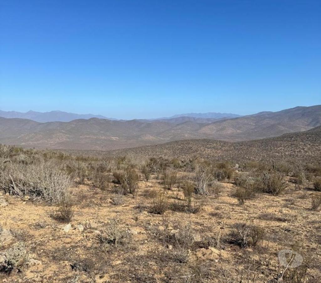 Venta de Haciendas Elqui Conquimbo - Fotos de Macro Lote Apatitas Coquimbo Oferta