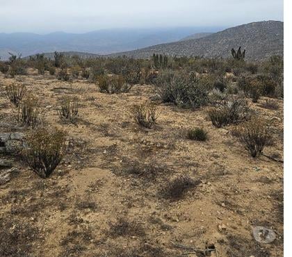 Venta de Haciendas Conquimbo Elqui - Fotos de Macro Lote Apatitas Coquimbo Oferta