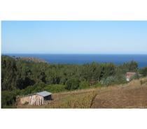 Fotos de MIRAMAR Y CAMPO, PULLAY