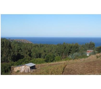 Terrenos Cobquecura Ñuble - Fotos de MIRAMAR Y CAMPO, PULLAY