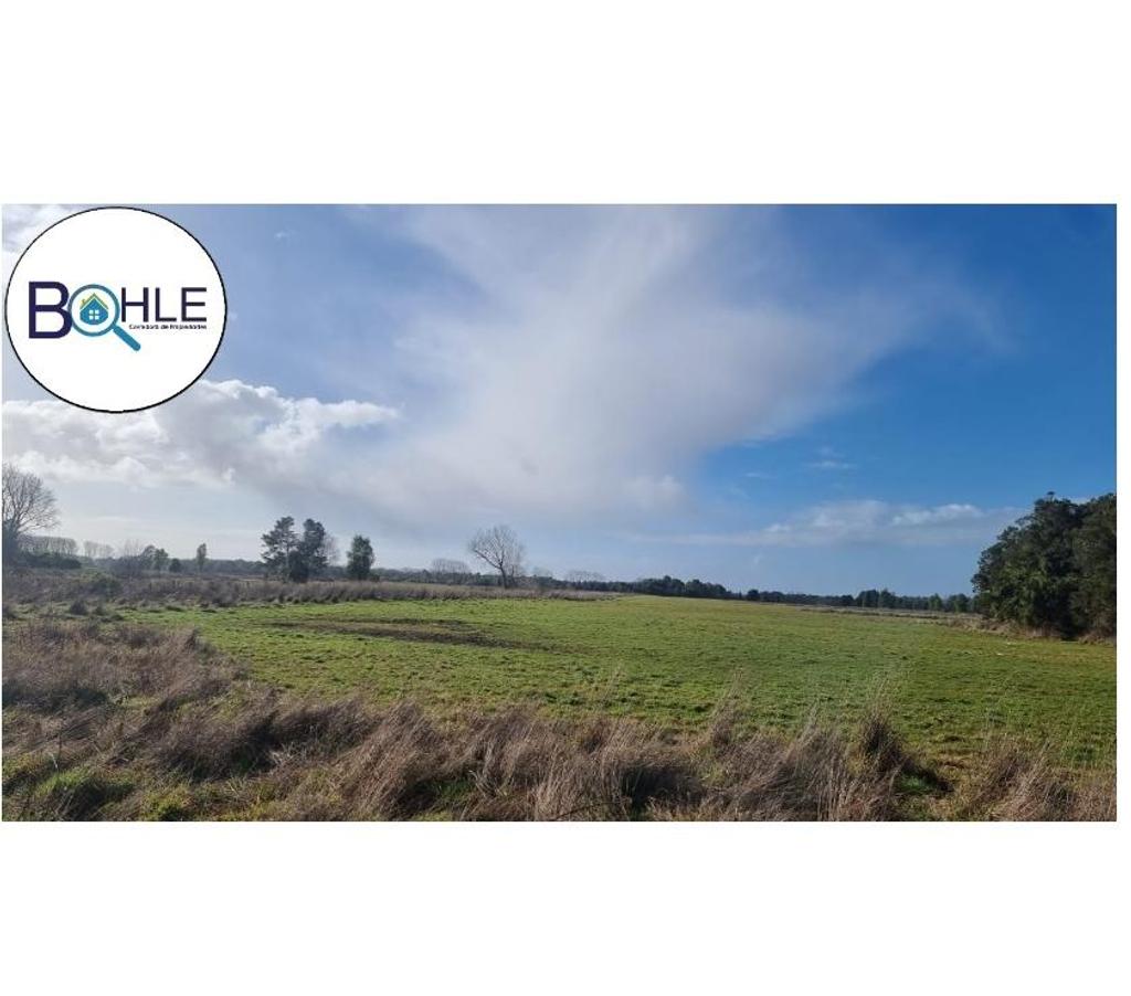 Parcelas en Venta Llanquihue Frutillar - Fotos de VENDO PARCELAS EN FRUTILLAR
