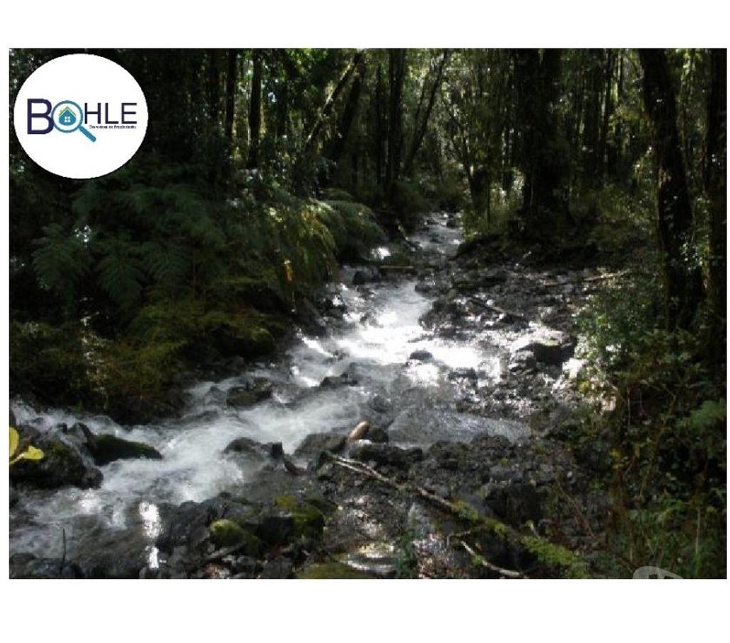 Venta de Haciendas Llanquihue Cochamó - Fotos de VENDO - Campo de 112 Há- Sector Rio Puelo