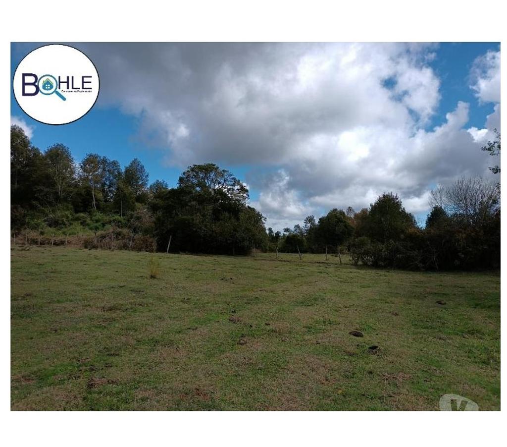 Venta de Haciendas Llanquihue Fresia - Fotos de VENDO - Campo de 25 Há en Fresia